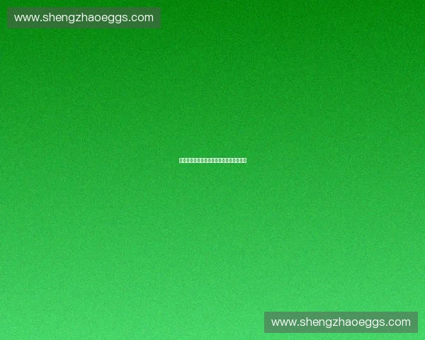 提升体育会员复购率的策略与实践探索之道