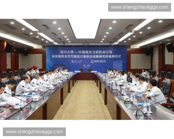 全面解析大型体育赛事策划方案与执行流程创新实践方案